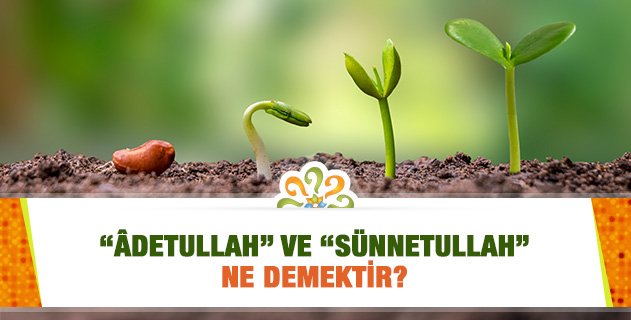 "Âdetullah" ve "Sünnetullah" ne demektir, zamana göre değişir mi? "Âdetullah" ve "Sünnetullah" ne demektir, zamana göre değişir mi?