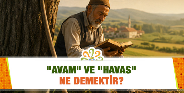 "Avam" ve "Havas" ne demektir? "Avam" ve "Havas" ne demektir?