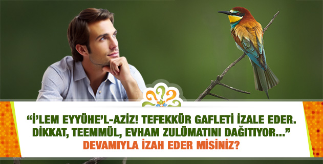 "İ’lem eyyühe’l-aziz! Tefekkür gafleti izale eder. Dikkat, teemmül, evham zulümatını dağıtıyor..." Devamıyla izah eder misiniz? "İ’lem eyyühe’l-aziz! Tefekkür gafleti izale eder. Dikkat, teemmül, evham zulümatını dağıtıyor..." Devamıyla izah eder misiniz?