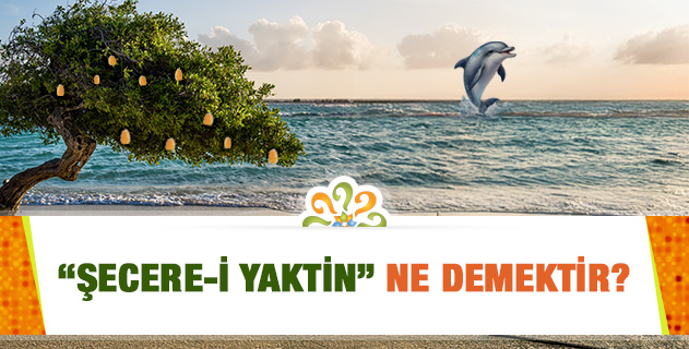 "Şecere-i yaktin" ne demektir? "Şecere-i yaktin" ne demektir?