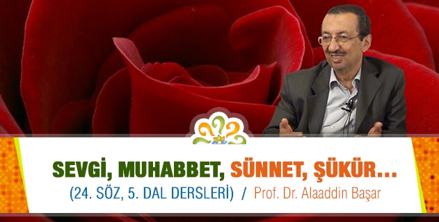 24. Söz, 5. Dal Dersleri