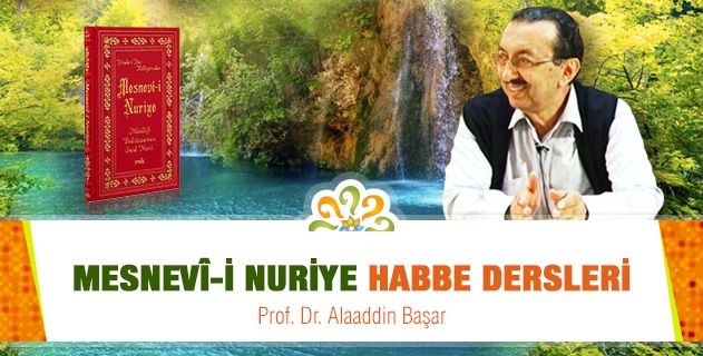 Habbe