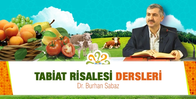 23. Lem'a Dersleri