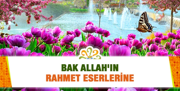 Bak Allah'ın Rahmet Eserlerine