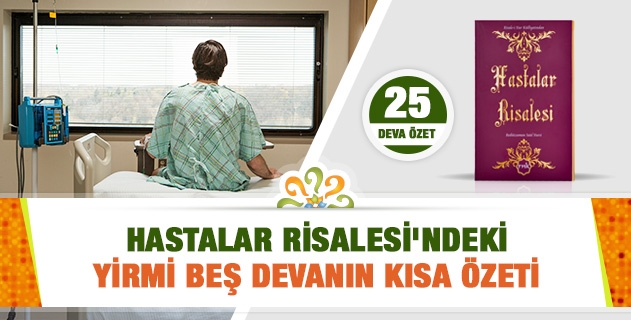 Hastalar Risalesi'ndeki yirmi beş devanın kısa özetini verir misiniz?