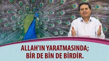 Allah'ın yaratmasında; bir de bin de birdir.