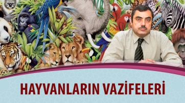 Hayvanların vazifeleri