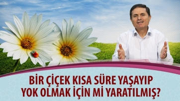 Bir çiçek kısa süre yaşayıp yok olmak için mi yaratılmış?