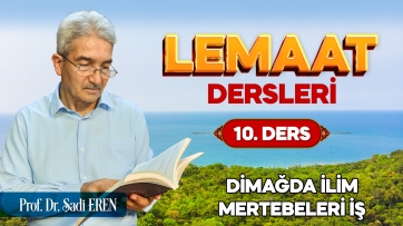 Dimağda ilim mertebeleri