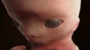 Ruh verme delili