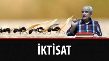 İktisat