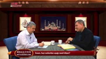 İnsan, hayvanlardan aşağı nasıl düşer?