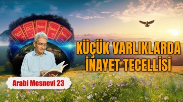 Küçük Varlıklarda İnayet Tecellisi