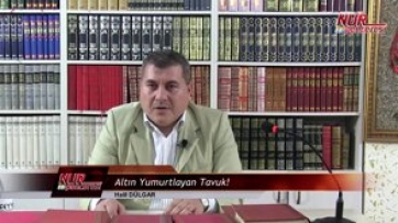 Altın Yumurtlayan Tavuk!