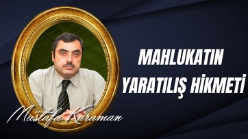 Kaba ve Çirkin Görünen Mahlukatın Yaratılış Hikmeti...