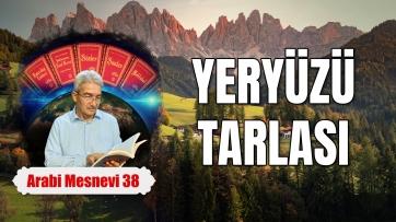 Yeryüzü Tarlası