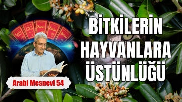 Bitkinin Hayvana Üstünlüğü