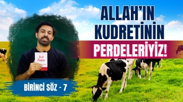 1. Söz, 7. Ders - Bizler Allah’ın kudretinin perdeleriyiz
