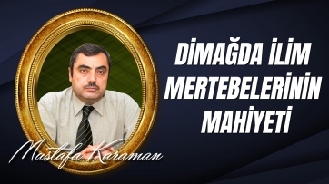 Dimağda İlim Mertebelerinin Mahiyeti