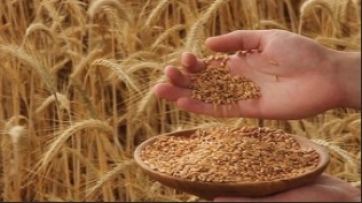  Mahsullerin zekatı