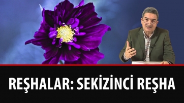 Reşhalar: Sekizinci Reşha