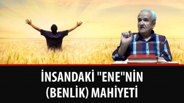 İnsandaki 