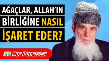 Ağaçlar, Allah'ın birliğine nasıl işaret eder?