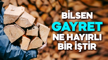 Bilsen Gayret Ne Hayırlı Bir iştir