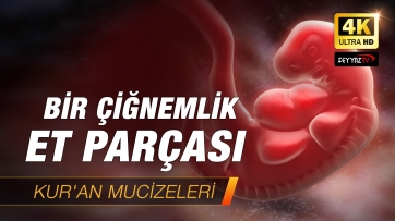Bir Çiğnemlik Et Parçası