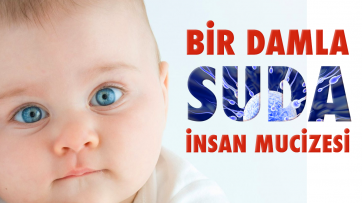 Bir damla sudan insan mucizesi
