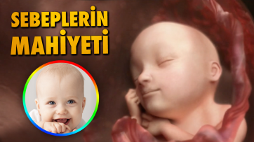 Sebeplerin Mahiyeti