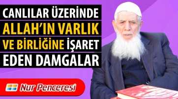 Canlılar Üzerinde Allah’ın Varlık ve Birliğine İşaret Eden Damgalar