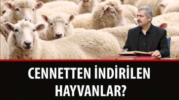 Cennetten İndirilen Hayvanlar