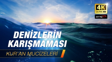 Denizlerin Karışmaması