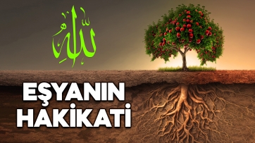 Eşyanın Hakikati