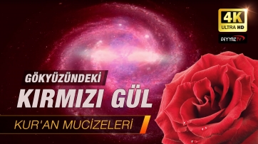 Gökyüzündeki Kırmızı Gül