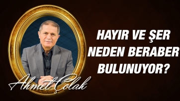 Hayır ve şer, Dünyada neden beraber bulunuyor?