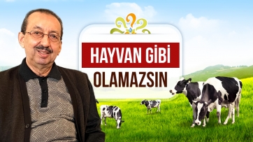 Hayvan gibi olamazsın!