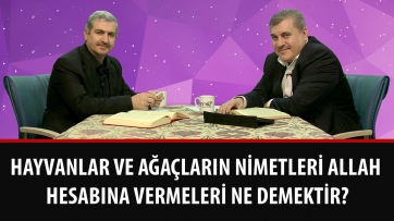 Hayvanlar ve ağaçların nimetleri Allah hesabına vermeleri ne demektir?