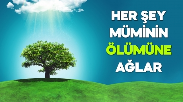 Her şey müminin ölümüne ağlar!