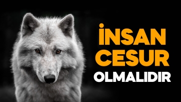 İnsan Cesur Olmalıdır!