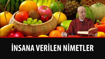 İnsana Verilen Nimetler