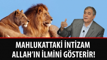 Mahlukattaki İntizam Allah’ın İlmini Gösterir!