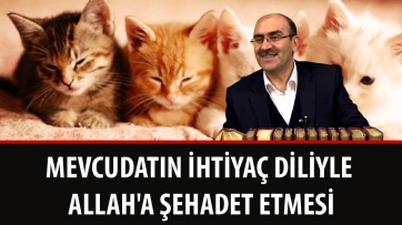 Mevcudatın İhtiyaç Diliyle Allah'a Şehadet Etmesi	