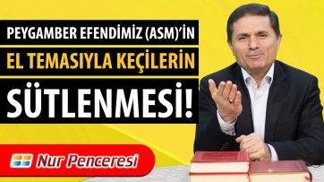 Peygamberimiz Efendimiz (asm)'in El Temasıyla Keçilerin Sütlenmesi!