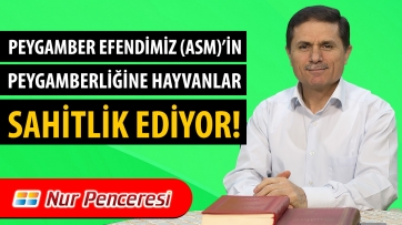 Peygamberimiz Efendimiz (asm)'in Peygamberliğine Hayvanlar Şahitlik Ediyor!