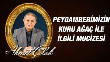Peygamber Efendimizin (asm) Ağlayan Kuru Ağaç ile İlgili Mucizesi