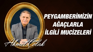 Peygamber Efendimizin (asm)'in Ağaçlarla İlgili Mucizeleri