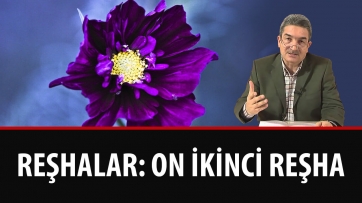 Reşhalar: On İkinci Reşha