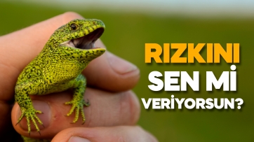 Rızkını sen mi veriyorsun?